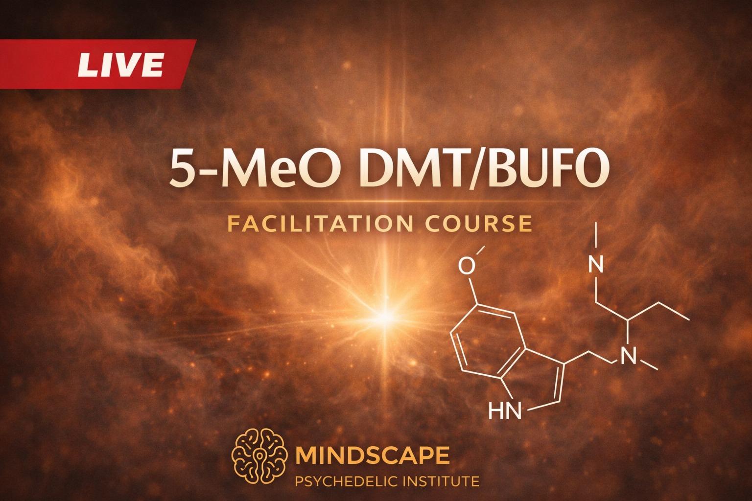 Certified 5-MeO/Bufo Facilitator Course